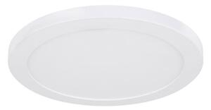 Globo 12379-24W - LED Stropné svietidlo LASSE LED/24W/230V