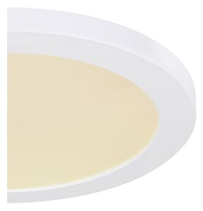 Globo 12379-24W - LED Stropné svietidlo LASSE LED/24W/230V