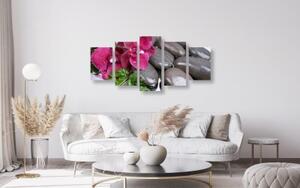 5-dielny obraz kvitnúca orchidea a wellness kamene - 100x50