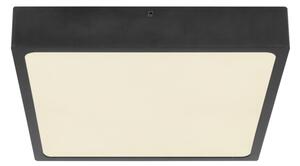 Globo 12369-22 - LED Stropné svietidlo ECHO LED/22W/230V