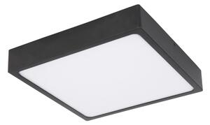 Globo 12369-22 - LED Stropné svietidlo ECHO LED/22W/230V