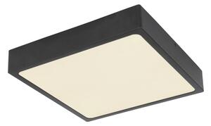 Globo 12369-22 - LED Stropné svietidlo ECHO LED/22W/230V
