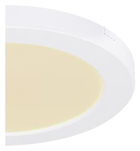 Globo 12379-18W - LED Stropné svietidlo LASSE LED/18W/230V