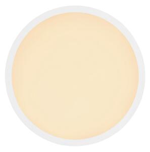 Globo 41562-18W - LED Kúpeľňové stropné svietidlo SAPANA LED/18W/230V IP44