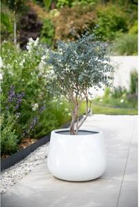 Izbový kvetináč GIRAR, sklolaminát, priemer 42 cm, biely