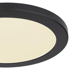 Globo 12379-24B - LED Stropné svietidlo LASSE LED/24W/230V