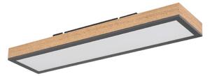 Globo 416080WD - LED Stropné svietidlo DORO LED/18W/230V