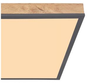 Globo 416080WD2 - LED Stropné svietidlo DORO LED/24W/230V