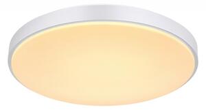 Globo 41586-24 - LED Stmievateľné stropné svietidlo SONNY LED/24W/230V + DO