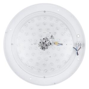 Globo 41759-24 - LED Stmievateľné stropné svietidlo MANNI LED/24W/230V + DO