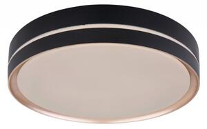 Globo 41759-24 - LED Stmievateľné stropné svietidlo MANNI LED/24W/230V + DO