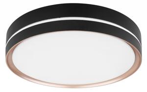Globo 41759-24 - LED Stmievateľné stropné svietidlo MANNI LED/24W/230V + DO