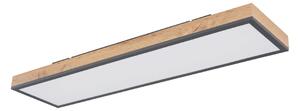 Globo 416080WD4-CCT - LED Stmievateľné stropné svietidlo DORO LED/24W/230V + DO
