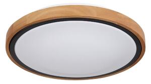 Globo 41764-12 - LED Stropné svietidlo BRUNO LED/12W/230V 307 mm 3000/4500/6000K