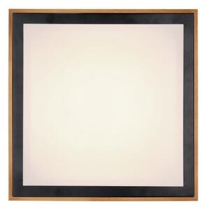 Globo 41764-24Q - LED Stropné svietidlo BRUNO LED/24W/230V 3000/4500/6000K
