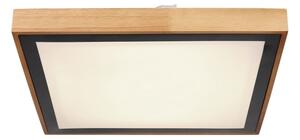 Globo 41764-24Q - LED Stropné svietidlo BRUNO LED/24W/230V 3000/4500/6000K