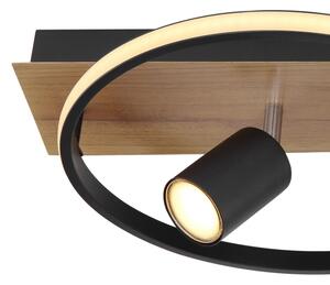 Globo 67309-36 - LED Stropné svietidlo DANNY 2xLED/18W/230V + 2xGU10/35W/230V