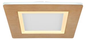 Globo 41767Q - LED Stropné svietidlo CLAY LED/23W/230V