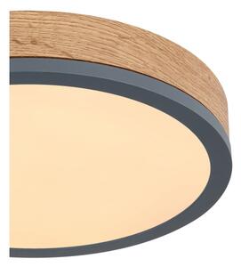 Globo 416080WD1R - LED Stropné svietidlo DORO LED/12W/230V pr. 30 cm