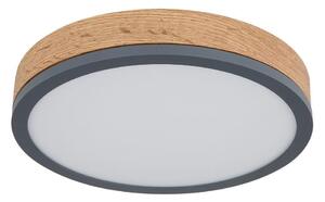 Globo 416080WD1R - LED Stropné svietidlo DORO LED/12W/230V pr. 30 cm