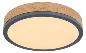 Globo 416080WD1R - LED Stropné svietidlo DORO LED/12W/230V pr. 30 cm