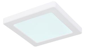 Globo 12380-12W - LED Stropné svietidlo LASSE LED/12W/230V 3000/4000/6500K biela