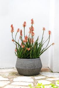 Moderný kvetináč BRIGATA, vláknocement, 36x22 cm, sivý