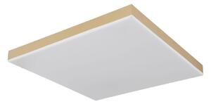Globo 41594D2M - LED Stmievateľné stropné svietidlo DORO LED/24W/230V zlatá + DO