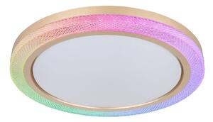 Globo 41372-24 - LED RGBW Stmievateľné stropné svietidlo BOLLY LED/20W/230V + DO
