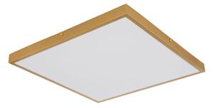 Globo 12382-30 - LED Stropné svietidlo TIBEY LED/30W/230V 45x45 cm