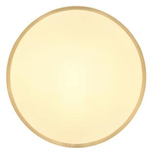 Globo 12381-22 - LED Stropné svietidlo TIBEY LED/22W/230V pr. 35 cm