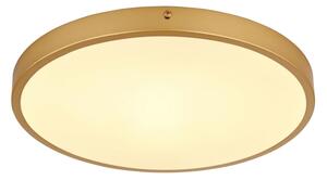 Globo 12381-22 - LED Stropné svietidlo TIBEY LED/22W/230V pr. 35 cm