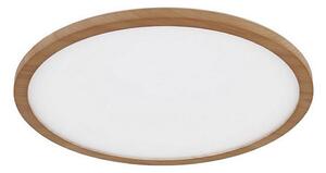 Globo 41562-24WW - LED Stmievateľné kúpeľňové svietidlo SAPANA LED/24W/230V IP44