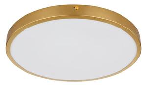 Globo 12381-22 - LED Stropné svietidlo TIBEY LED/22W/230V pr. 35 cm