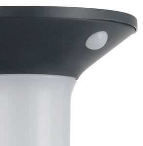 Eglo 900243 - LED vonkajšie solárne svietidlo so senzorom 6xLED/0,03W/3,7V IP44