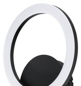 Eglo 900324 - LED Stmievateľné nástenné svietidlo PARRAPOS-Z LED/12W/230V