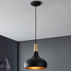 Eglo 900162 - Luster na lanku SABINAR 1xE27/40W/230V pr. 28 cm