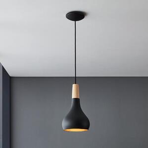 Eglo 900161 - Luster na lanku SABINAR 1xE27/40W/230V pr. 18 cm čierna