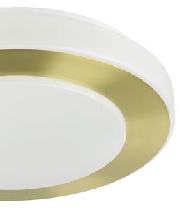 Eglo 900369 - LED Kúpeľňové stropné svietidlo CARPI LED/10,8W/230V IP44