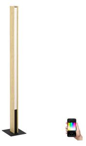 Eglo 900392 - LED RGBW Stmievateľná stojacia lampa ANCHORENA-Z LED/35W/230V