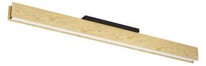 Eglo 900387 - LED RGBW Stmievateľné stropné svietidlo ANCHORENA-Z LED/35W/230V