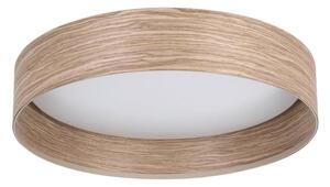 Eglo 900463 - LED Stropné svietidlo LUPPINERIA LED/24W/230V