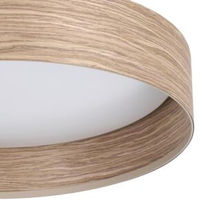 Eglo 900463 - LED Stropné svietidlo LUPPINERIA LED/24W/230V