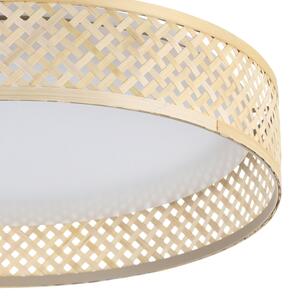 Eglo 900464 - LED Stropné svietidlo LUPPINERIA LED/24W/230V