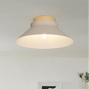 Eglo 900736 - Stropné svietidlo MOHARRAS 1xE27/40W/230V