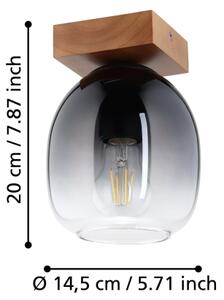 Eglo 900825 - Stropné svietidlo FILAGO 1xE27/40W/230V