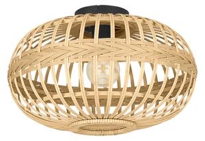 Eglo 43723 - Stropné svietidlo AMSFIELD 1xE27/40W/230V