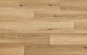 Arbiton Woodric EIR Wood Structure DUB CAVAILLON CWS 210