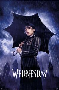 Plagát, Obraz - Wednesday - Umbrella