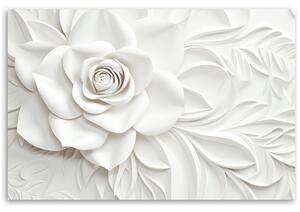 Obraz na plátne Nádherná biela ruža Rozmery: 60 x 40 cm